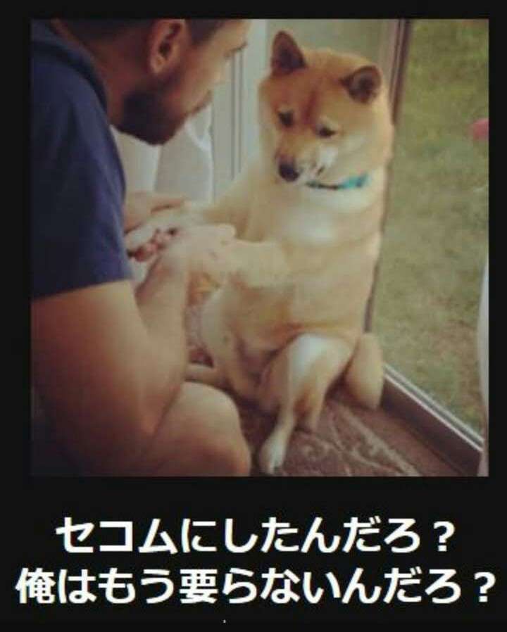 boketeで1000コメ以上を目指そう〜  part7〜
