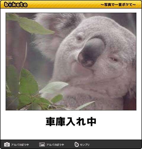 boketeで1000コメ以上を目指そう〜 part7〜