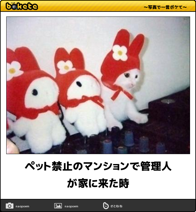 boketeで1000コメ以上を目指そう〜 part7〜