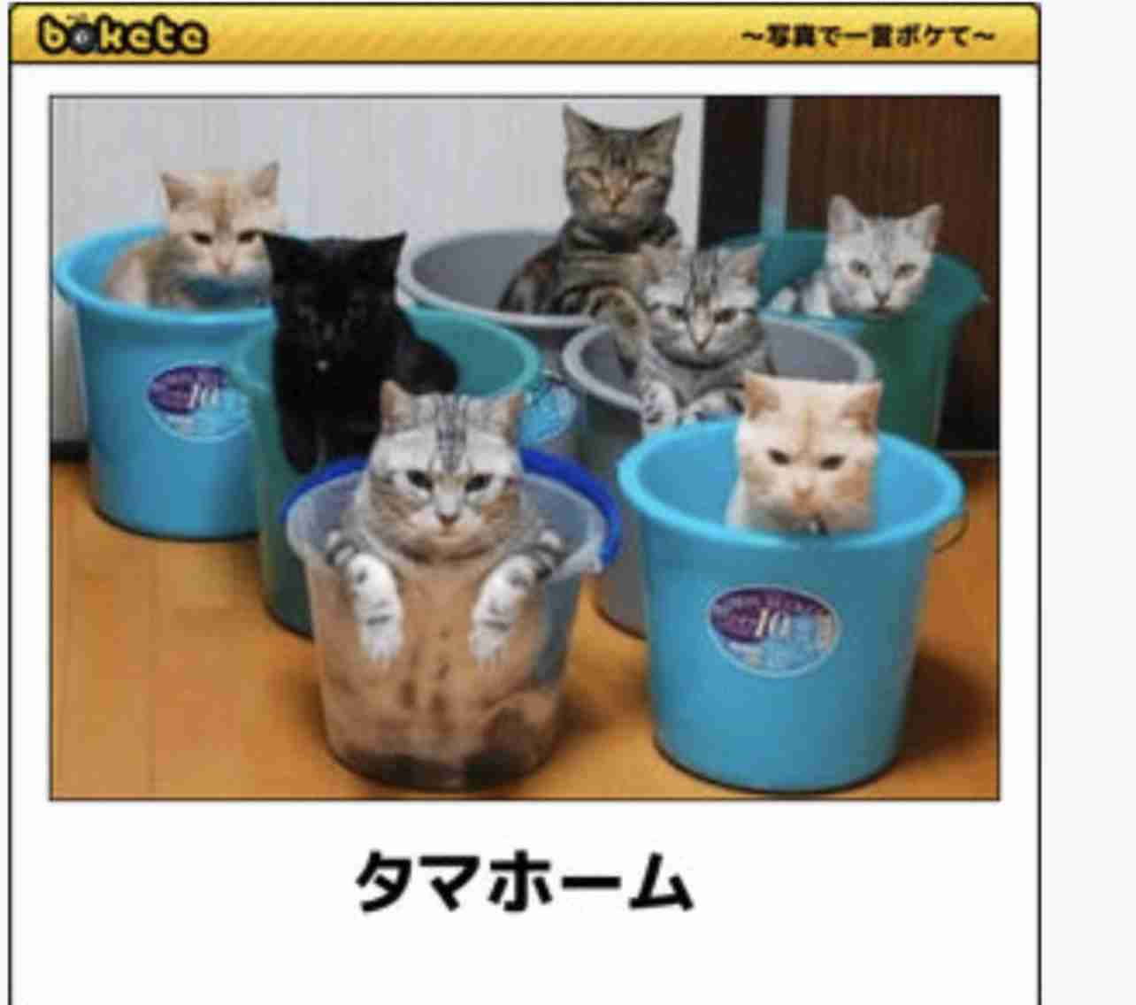 boketeで1000コメ以上を目指そう〜 part7〜