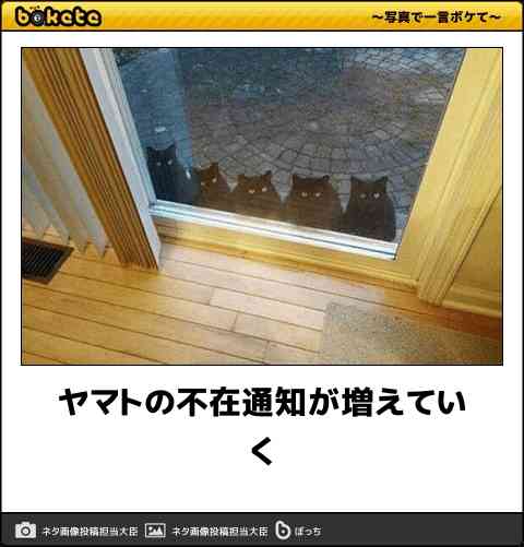 boketeで1000コメ以上を目指そう〜 part7〜