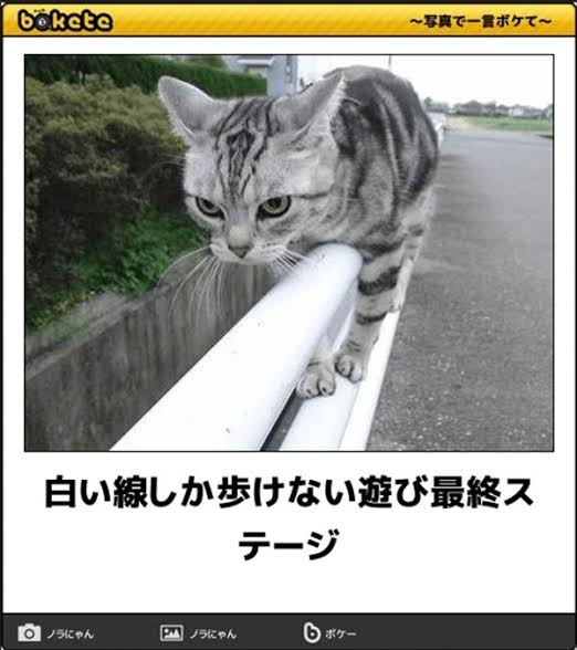 boketeで1000コメ以上を目指そう〜 part7〜