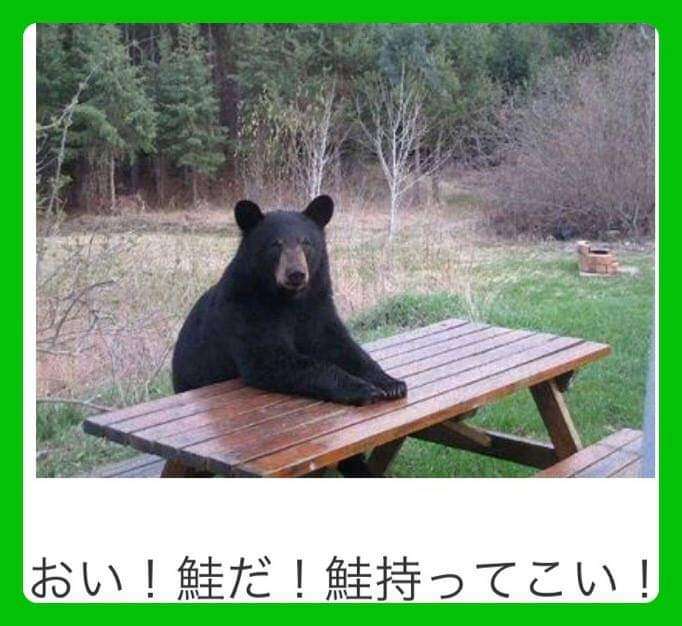 boketeで1000コメ以上を目指そう〜  part7〜