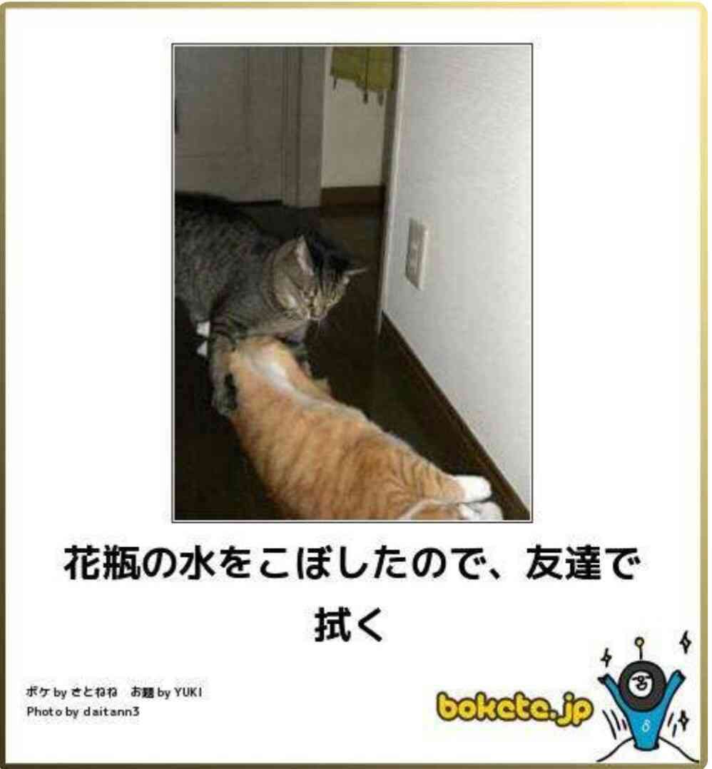 boketeで1000コメ以上を目指そう〜 part7〜