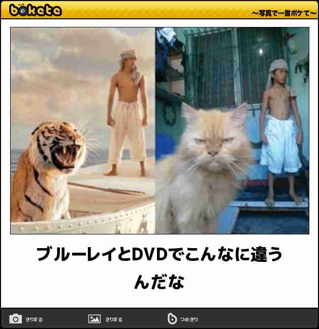 boketeで1000コメ以上を目指そう〜 part7〜