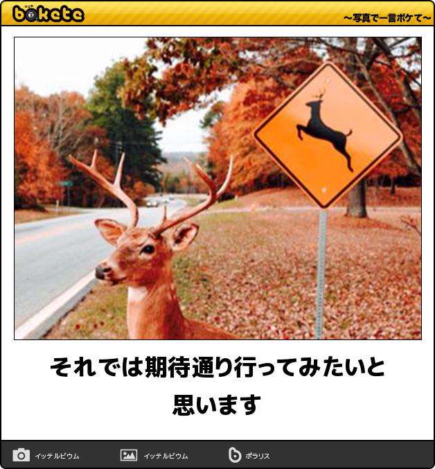boketeで1000コメ以上を目指そう〜  part7〜