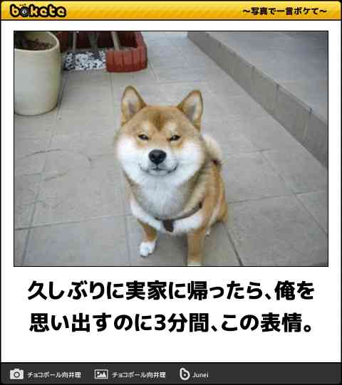 boketeで1000コメ以上を目指そう〜 part7〜