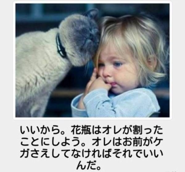 boketeで1000コメ以上を目指そう〜 part7〜