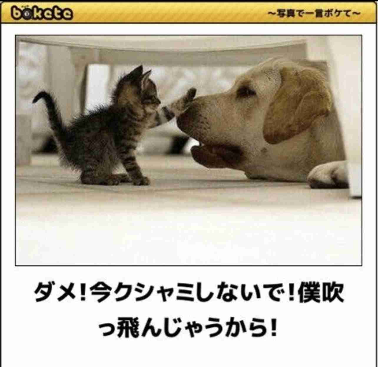 boketeで1000コメ以上を目指そう〜 part7〜