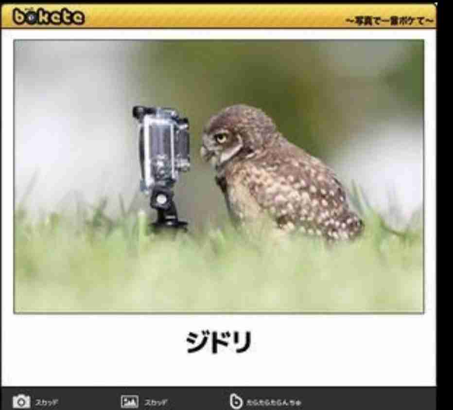 boketeで1000コメ以上を目指そう〜 part7〜