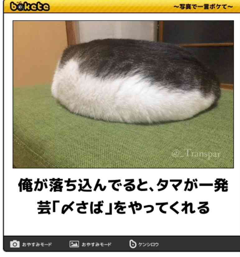 boketeで1000コメ以上を目指そう〜 part7〜
