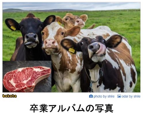 boketeで1000コメ以上を目指そう〜  part7〜