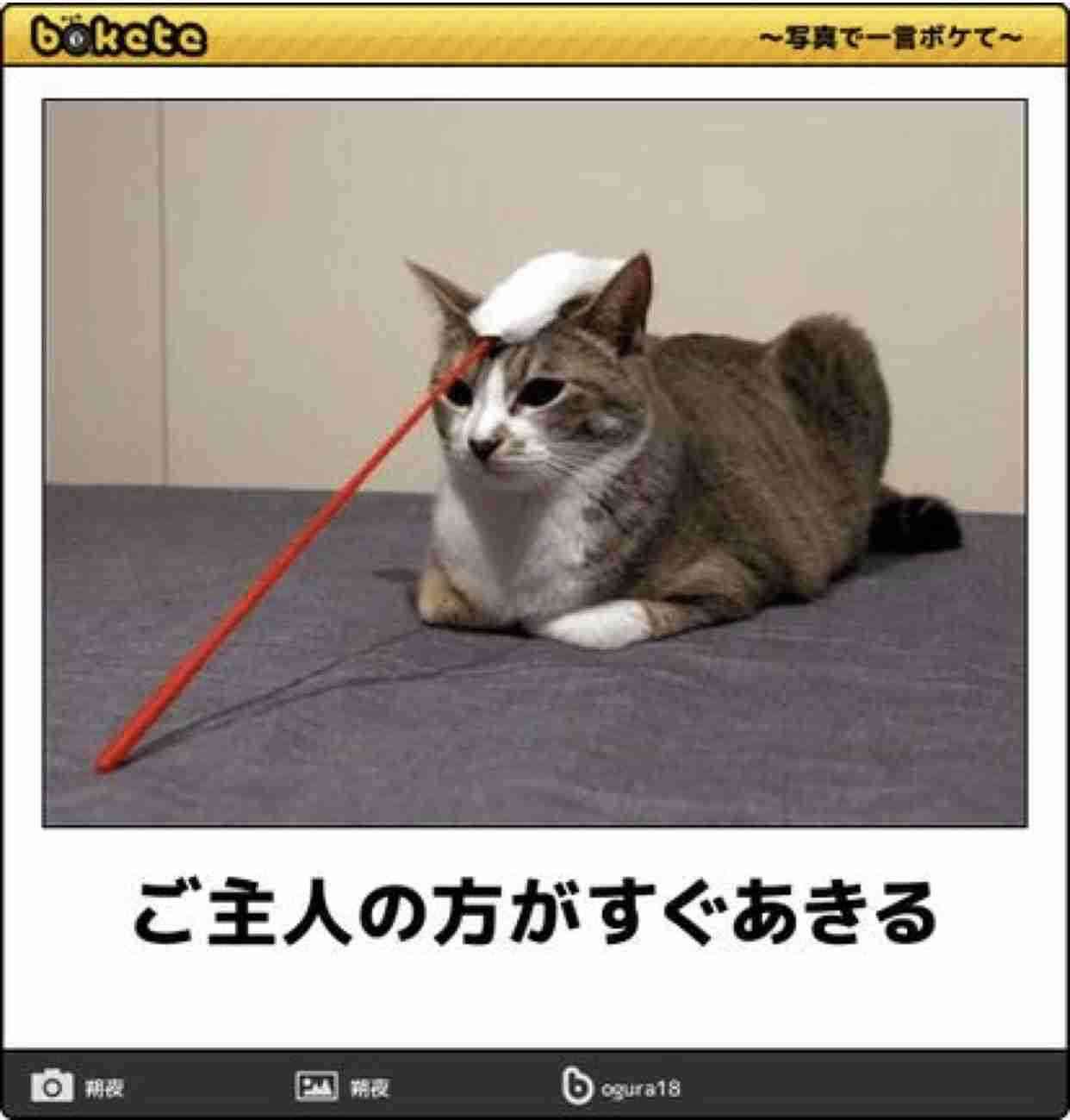 boketeで1000コメ以上を目指そう〜 part7〜