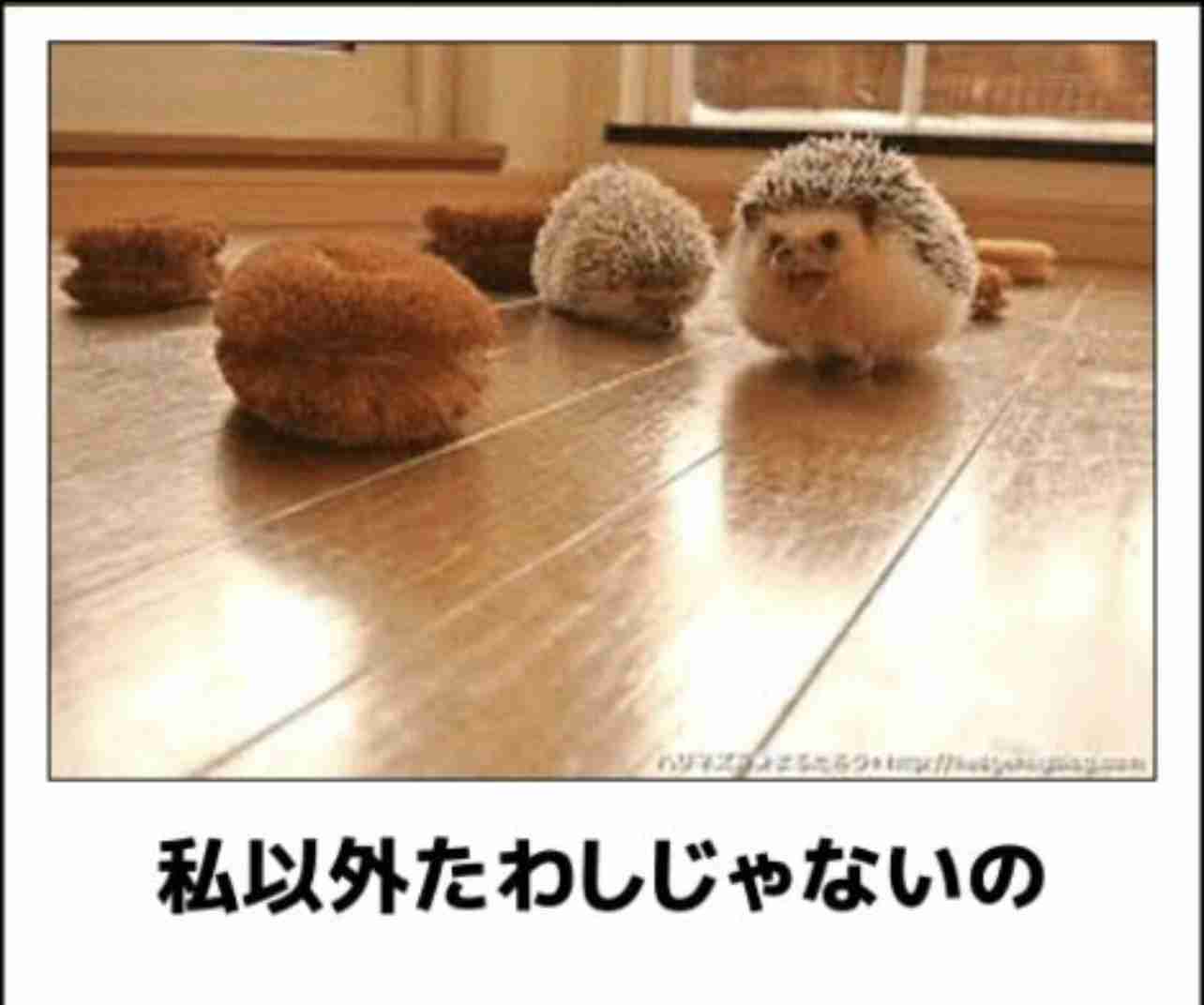 boketeで1000コメ以上を目指そう〜 part7〜