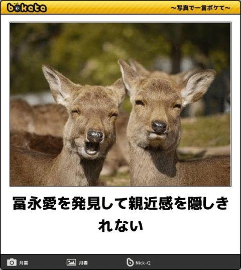 boketeで1000コメ以上を目指そう〜  part7〜