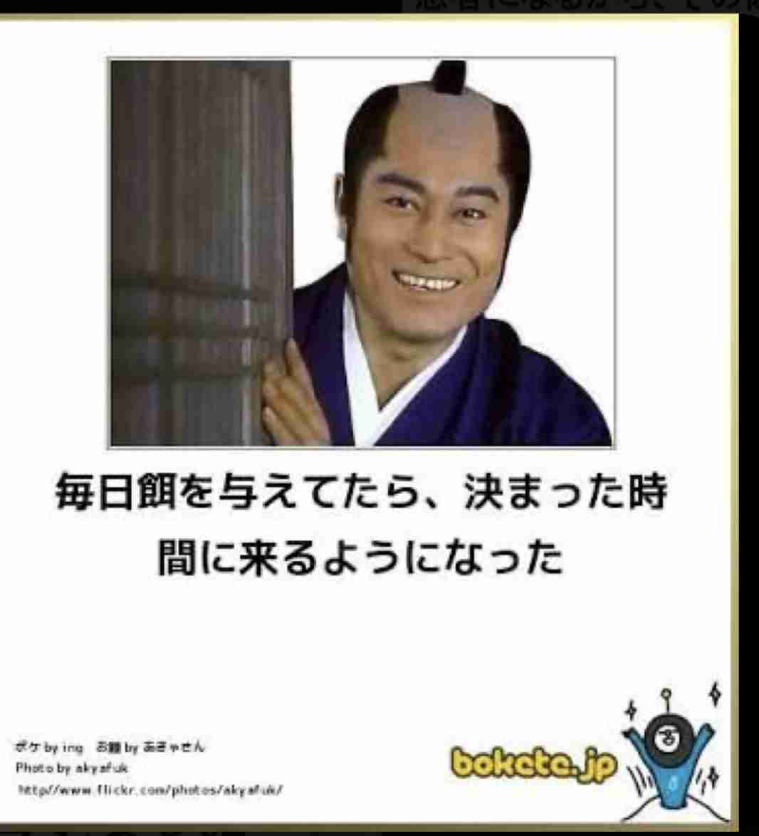 boketeで1000コメ以上を目指そう〜 part7〜