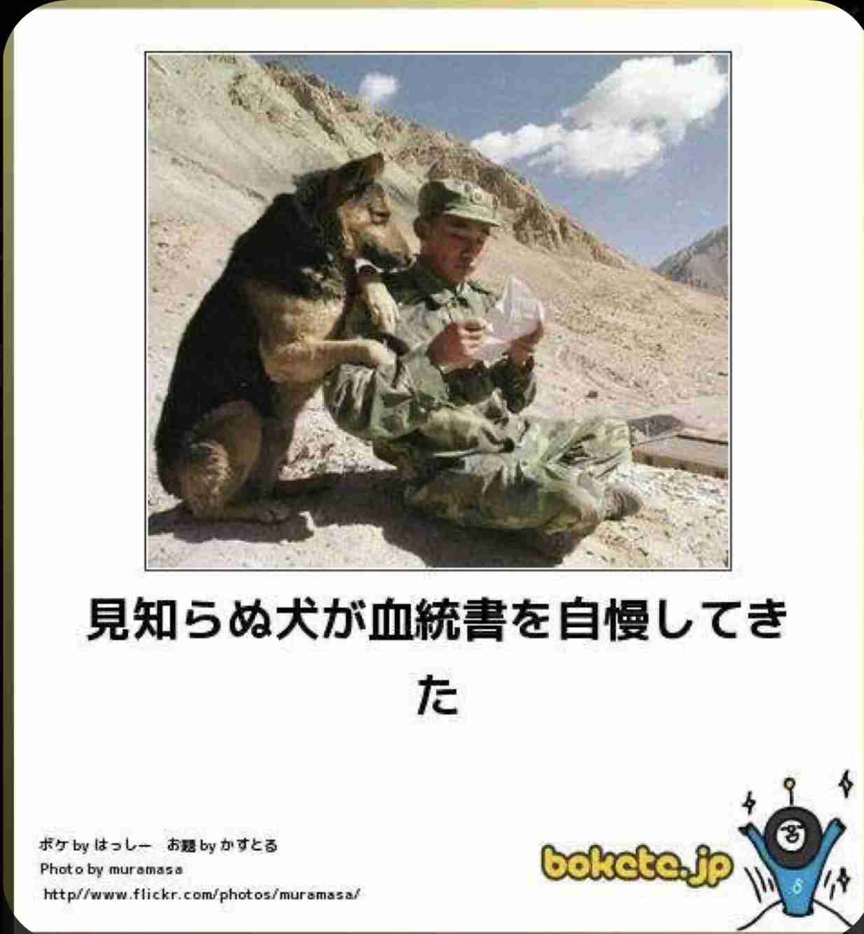 boketeで1000コメ以上を目指そう〜 part7〜