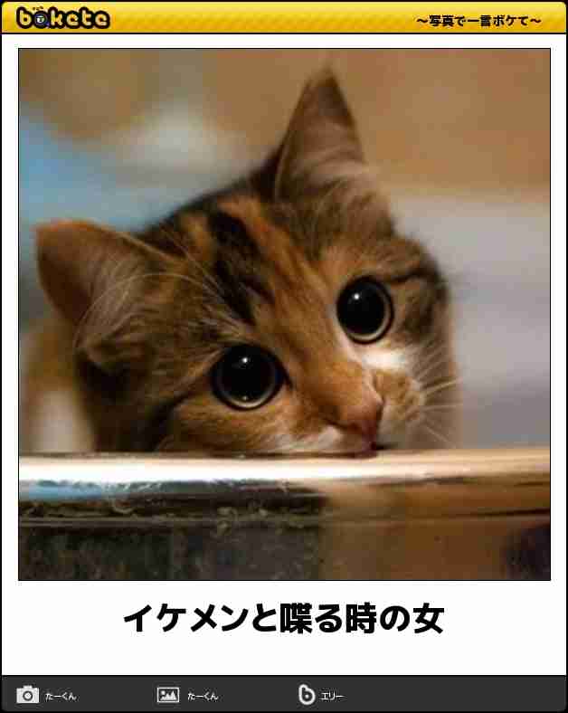 boketeで1000コメ以上を目指そう〜 part7〜