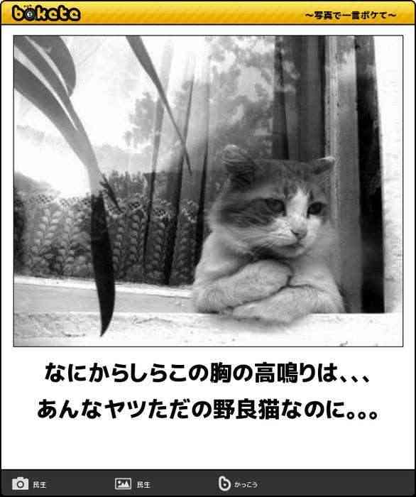 boketeで1000コメ以上を目指そう〜 part7〜