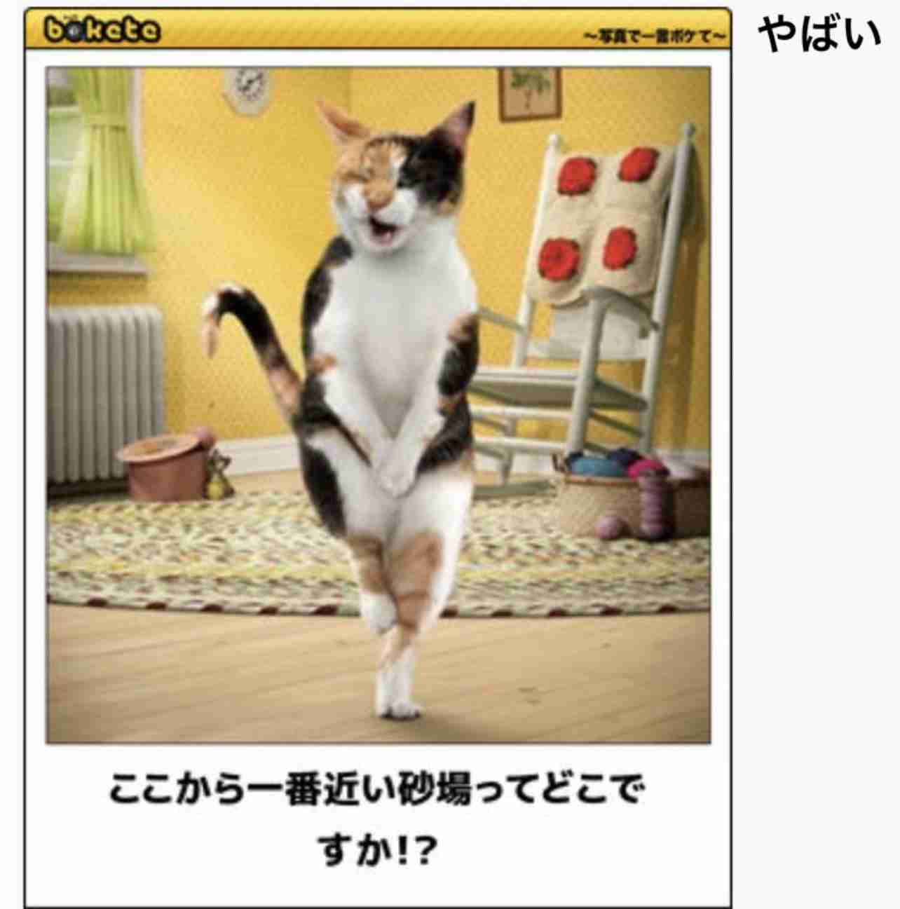 boketeで1000コメ以上を目指そう〜 part7〜