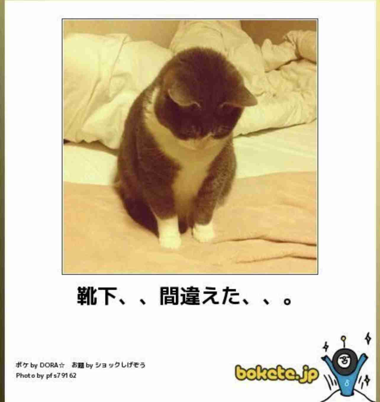 boketeで1000コメ以上を目指そう〜 part7〜