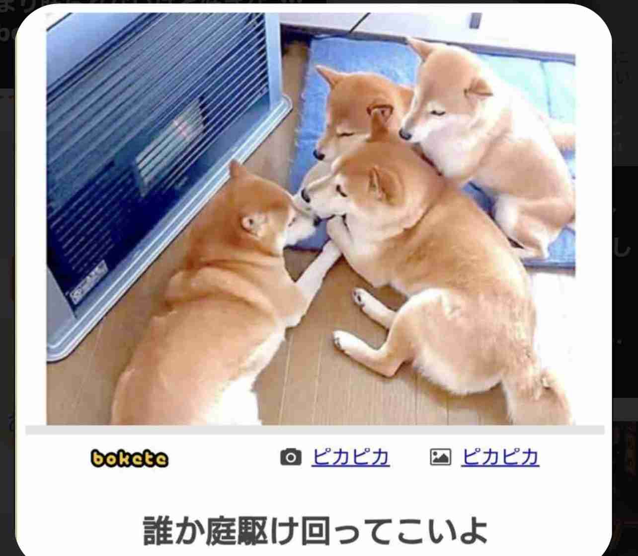 boketeで1000コメ以上を目指そう〜 part7〜