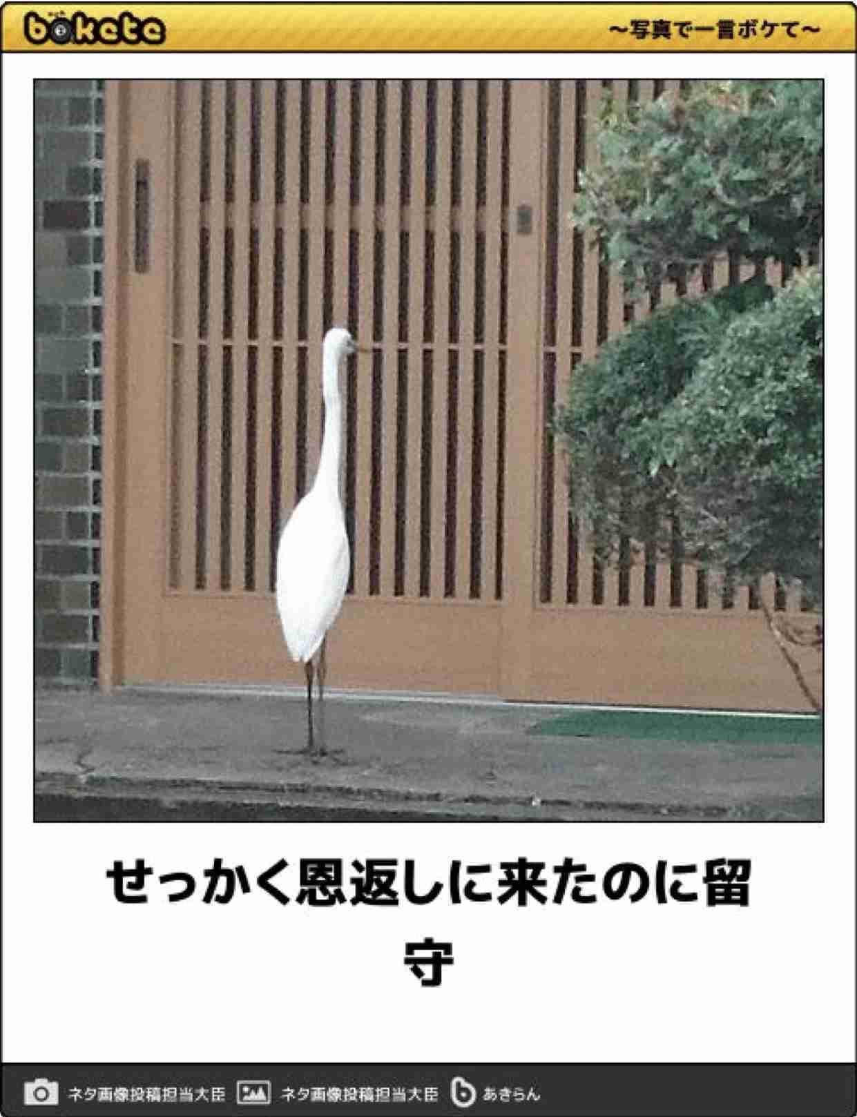 boketeで1000コメ以上を目指そう〜 part7〜
