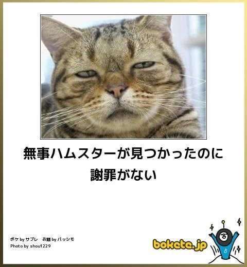 boketeで1000コメ以上を目指そう〜  part7〜