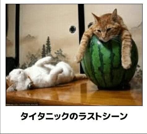 boketeで1000コメ以上を目指そう〜 part7〜