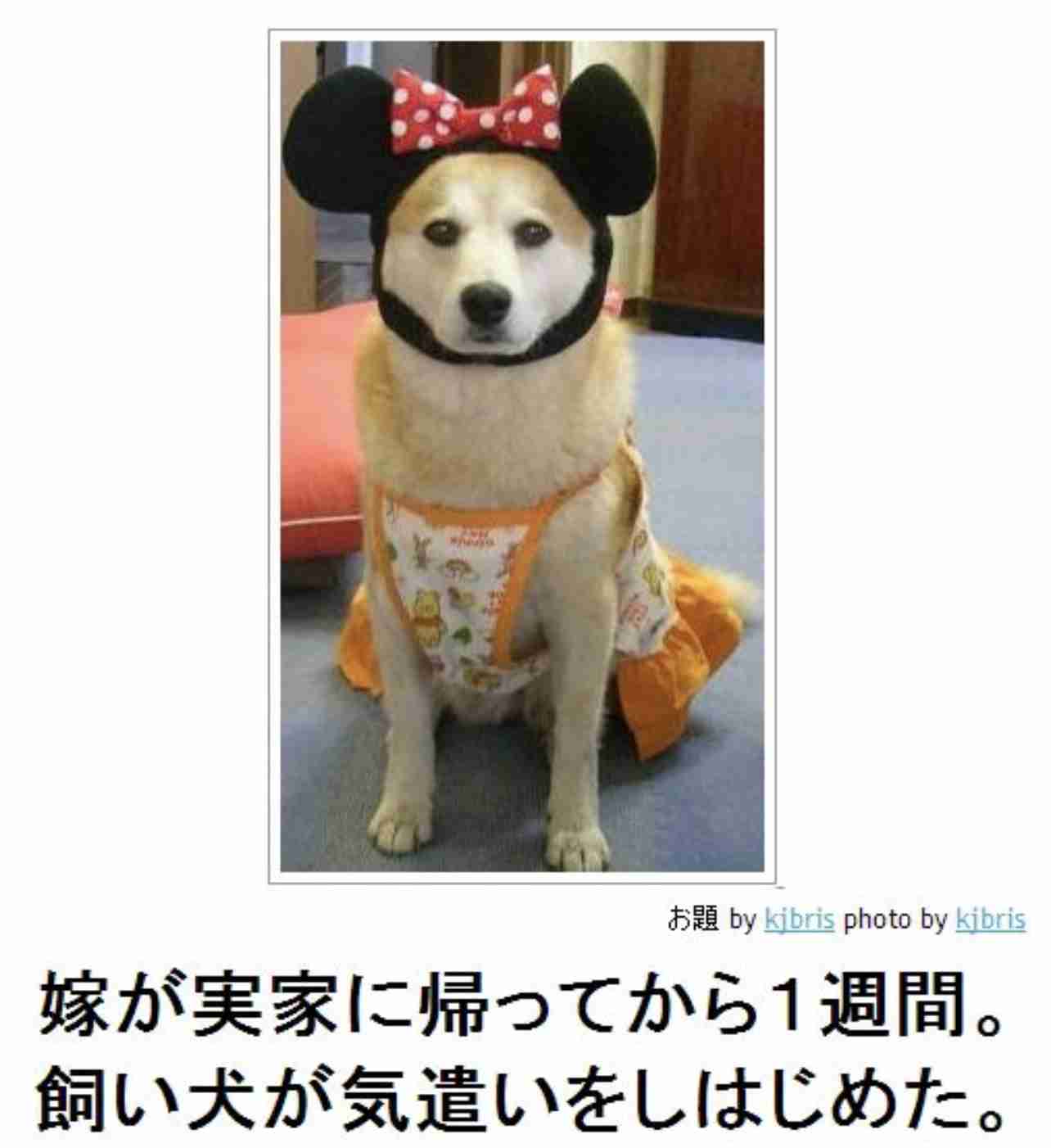 boketeで1000コメ以上を目指そう〜 part7〜