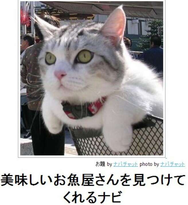 boketeで1000コメ以上を目指そう〜  part7〜
