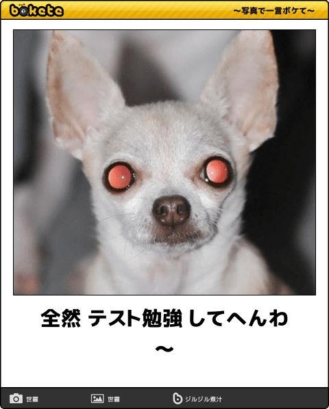 boketeで1000コメ以上を目指そう〜  part7〜