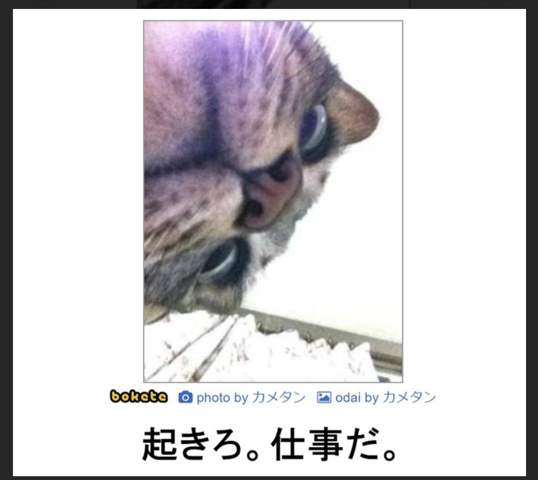 boketeで1000コメ以上を目指そう〜 part7〜