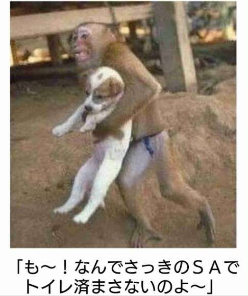 boketeで1000コメ以上を目指そう〜  part7〜