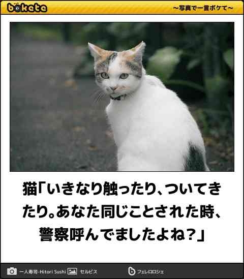 boketeで1000コメ以上を目指そう〜 part7〜