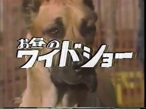 昔見ていた、懐かしの情報番組