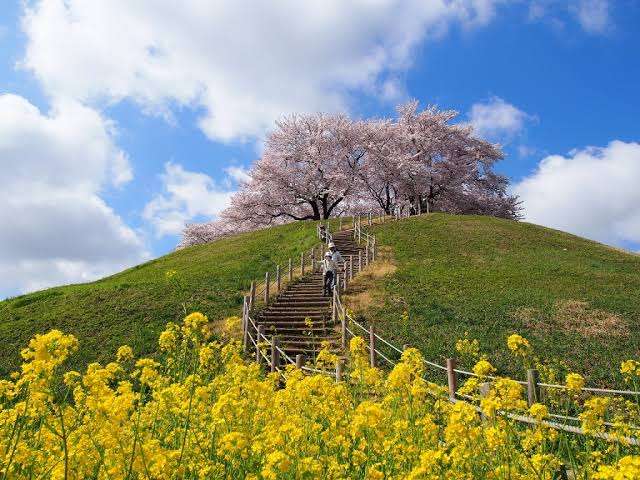 【定番・穴場】埼玉県の遊びや観光、グルメのおすすめ