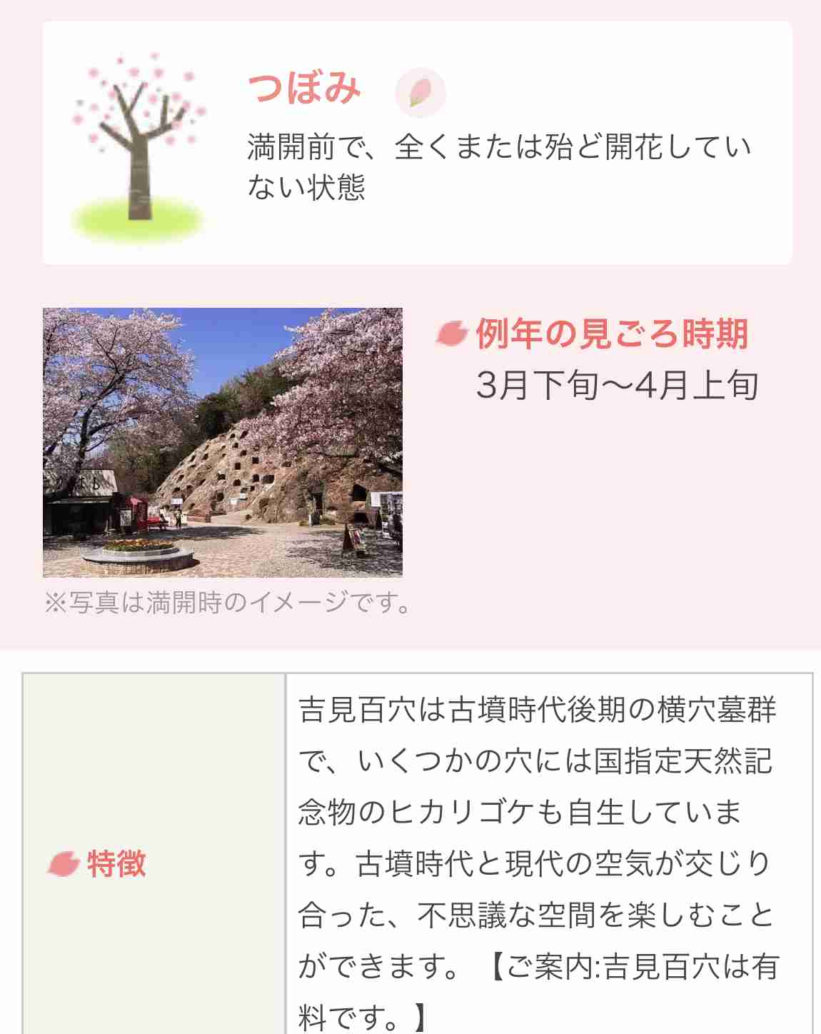 【定番・穴場】埼玉県の遊びや観光、グルメのおすすめ