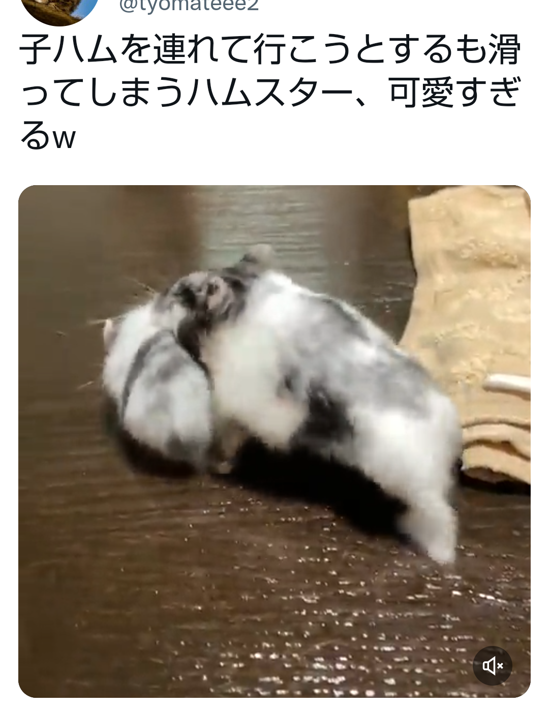 Twitterでバズった人気の投稿Part8