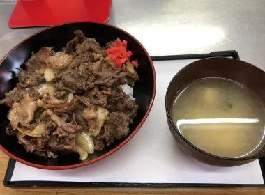｢お母さん､ヒグマが私を食べている!｣と電話で実況…人を襲わない熊が19歳女性をむさぼり食った恐ろしい理由