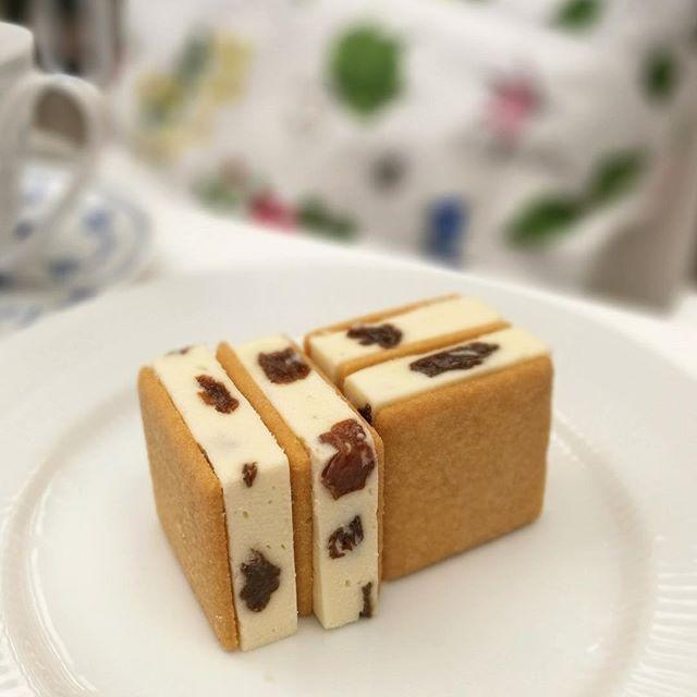 あなたの住んでいるところ近辺で日帰り旅行、どんなプランにする?