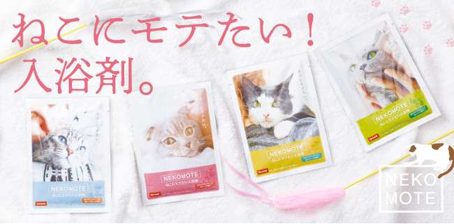 愛猫に懐かれない！