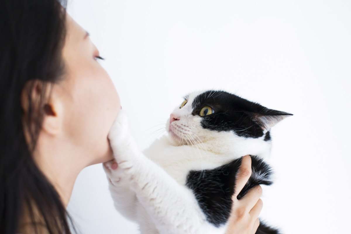 愛猫に懐かれない！