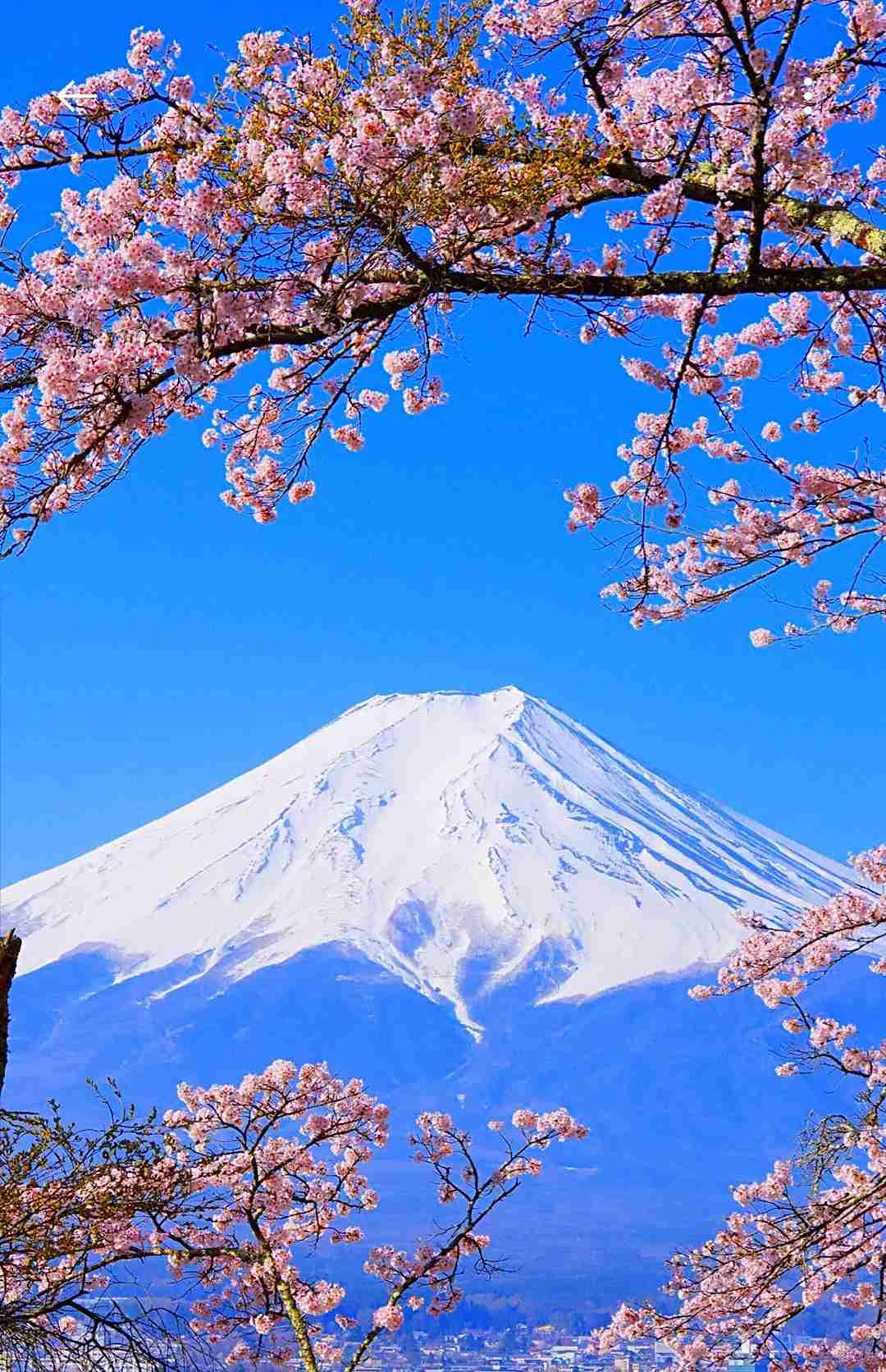 マウントをするママ友とどう付き合う?