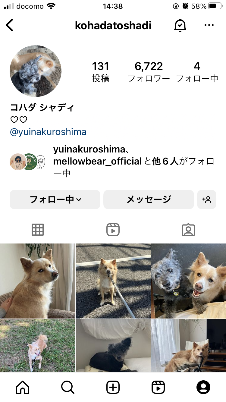 黒島結菜　宮沢氷魚との“お泊まり愛”を目撃！日曜朝に2人で愛犬散歩の堂々ぶり【写真あり】