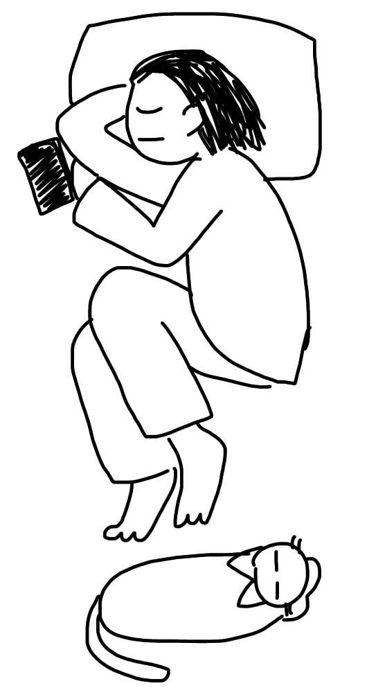 【深夜の】あなたの寝相描いてください【お絵描き】