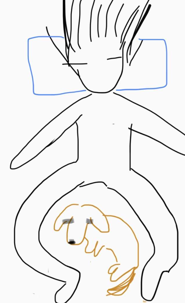 【深夜の】あなたの寝相描いてください【お絵描き】