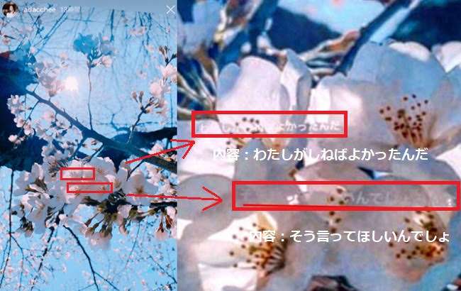 足立梨花「マスク取りなよ」の指摘に反論 「ごもっとも!」「本当にこれ」共感続々