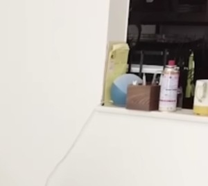 ステージ4すい臓がんYouTuber　視聴者に「無職？」と疑問を持たれた夫の職業を明言