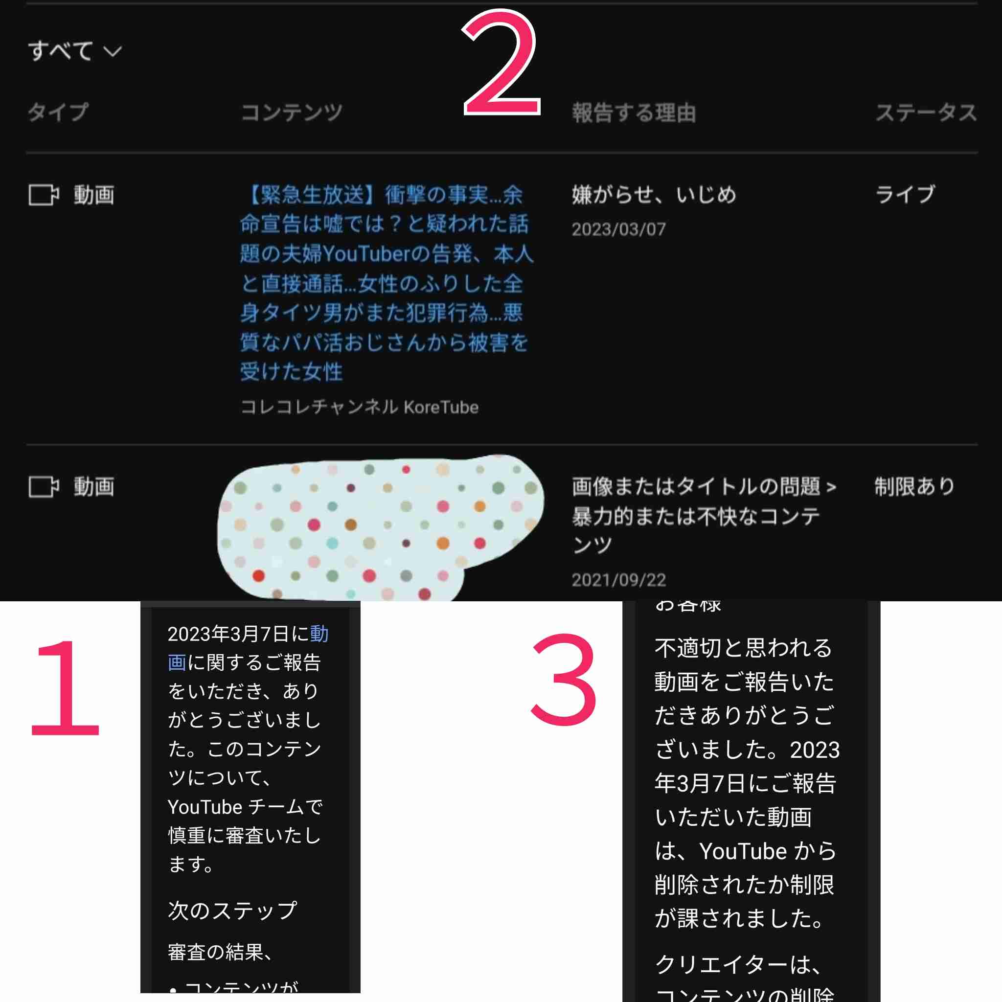 ステージ4すい臓がんYouTuber　視聴者に「無職？」と疑問を持たれた夫の職業を明言